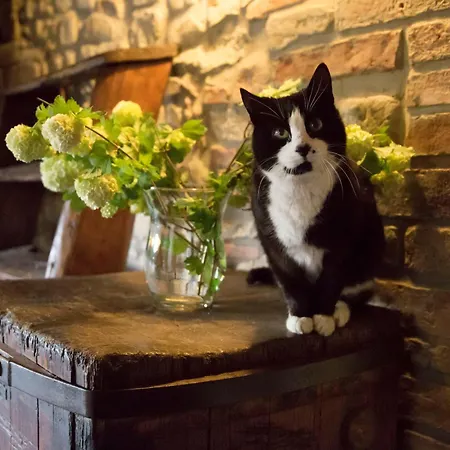 לינה וארוחת בוקר Sestilia 3*